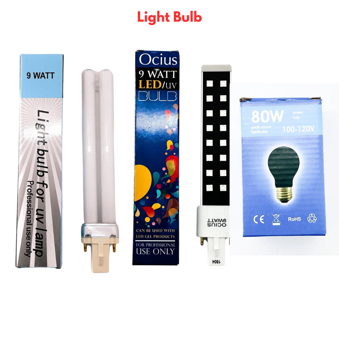 Light Bulb