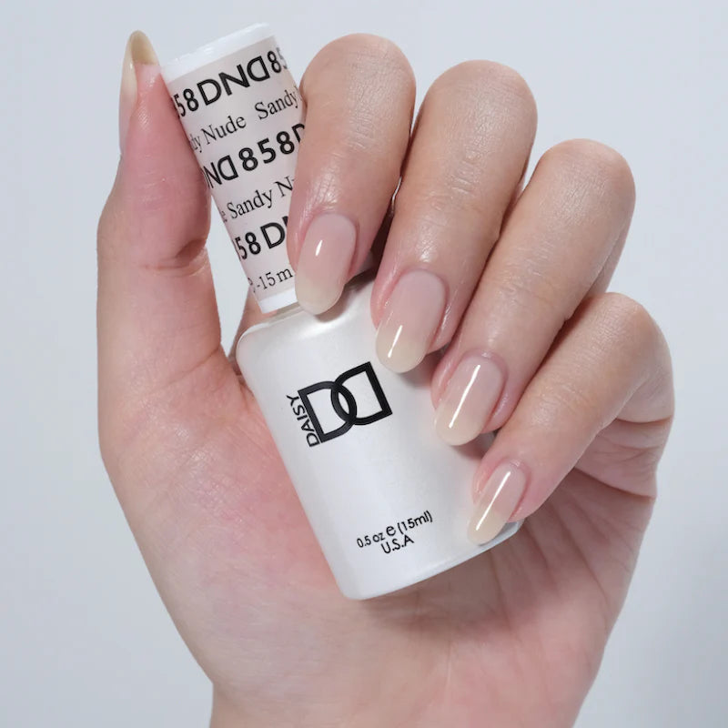 Bộ sưu tập DND13 #13 Sheer (Bộ đầy đủ 36 màu #856 - #892)