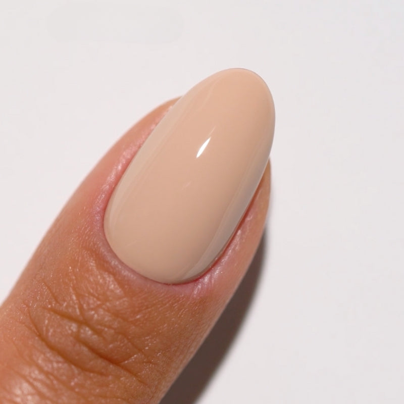 Bộ sưu tập DIVA #5 Prima Donna (36 màu đôi)