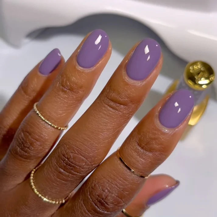 DIVA Duo DV237 Thám tử Mauve