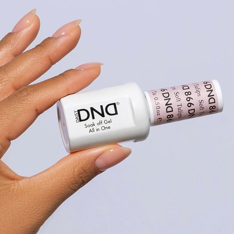 Bộ sưu tập DND13 #13 Sheer (Bộ đầy đủ 36 màu #856 - #892)