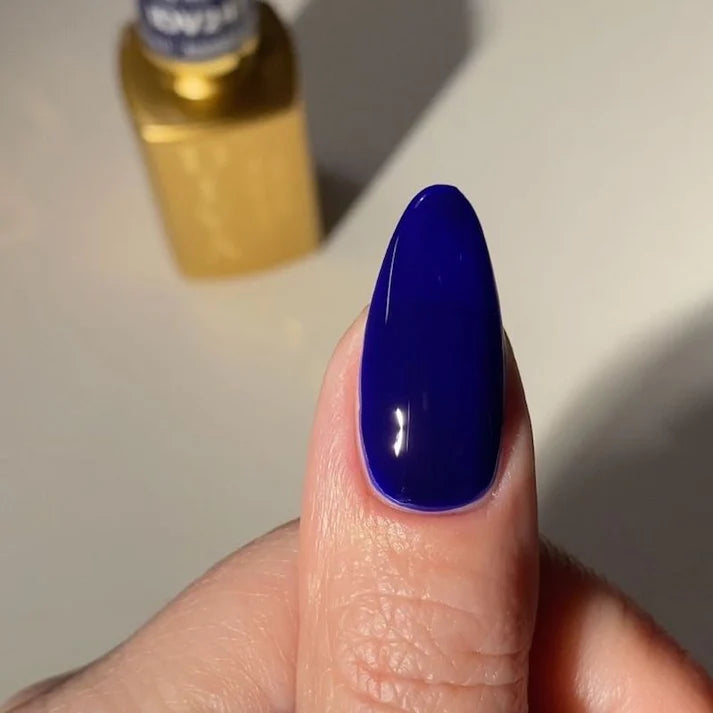 DIVA Duo DV247 Jelly Marine