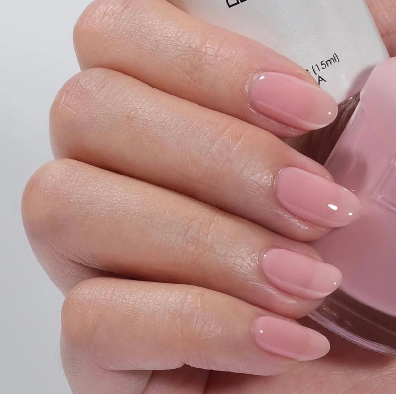 Bộ sưu tập DND13 #13 Sheer (Bộ đầy đủ 36 màu #856 - #892)