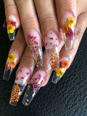 Dry Flower #13 - Angelina Nail Supply NYC