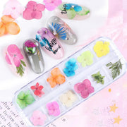 Dry Flower #F09 - Angelina Nail Supply NYC