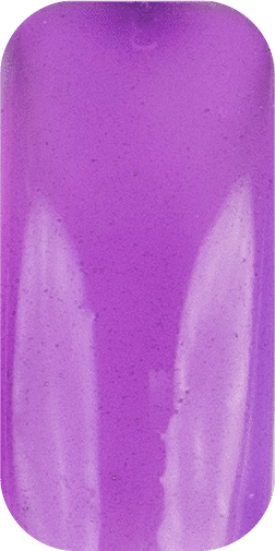 Perception Translucent Gel Complete Set - 01->12 | Perfect Match - Angelina Nail Supply NYC